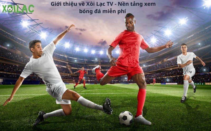 Tìm hiểu về Xoilac TV 90phút: Trang thông tin uy tín về bóng đá
